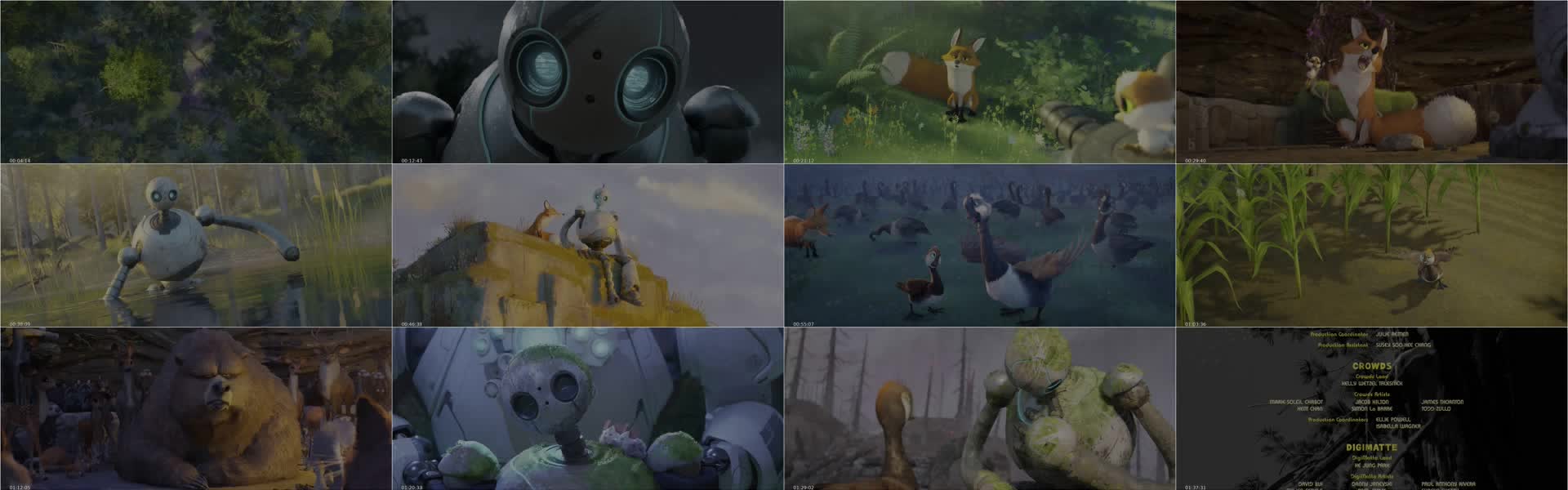 the wild robot 2024 hdr 2160p web h265-scrupulousslyearwigofmaturity
